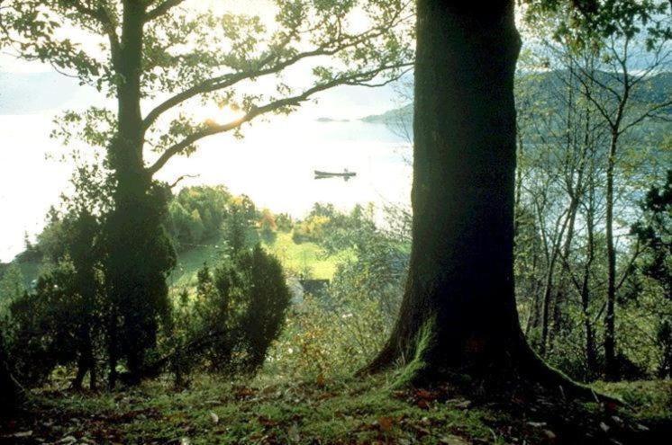 Вилла Hardanger Feriesenter Neshagen Нурхеймсунн Экстерьер фото